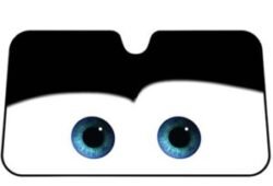 CoolEyesWindshield